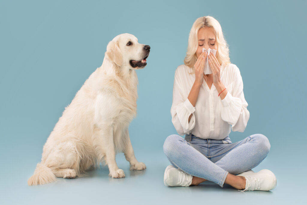 Kan man bli allergisk mot hund som vuxen?