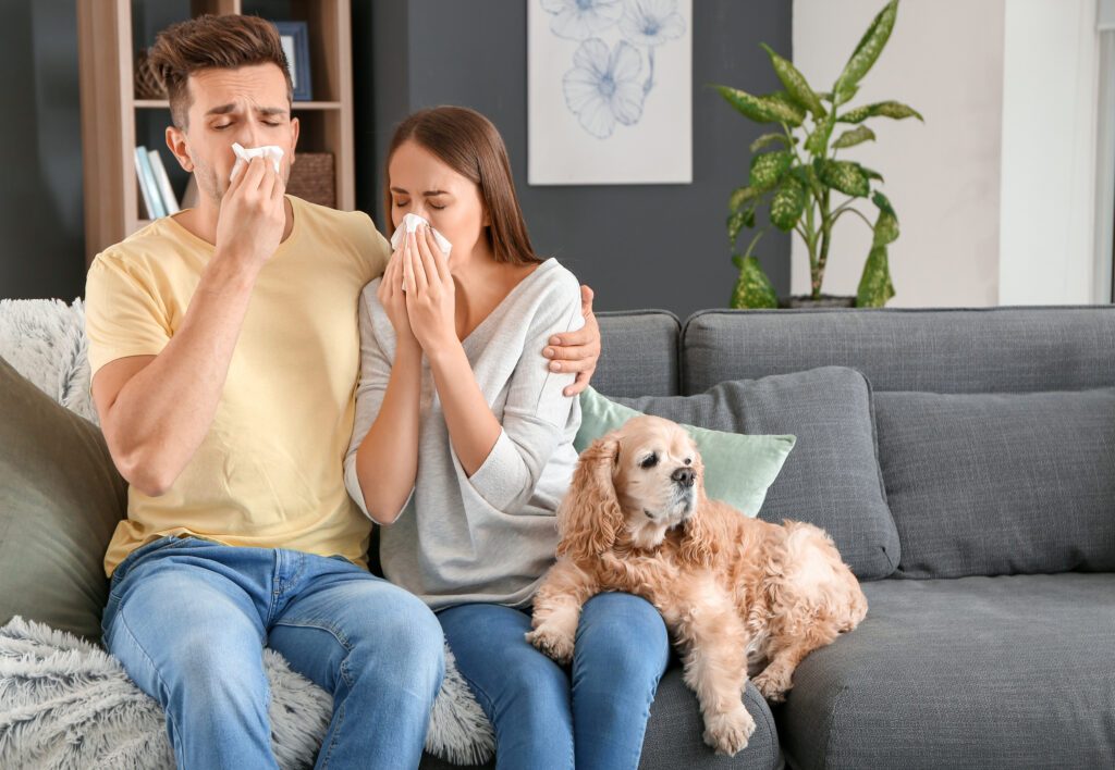 Leva med hund trots allergi